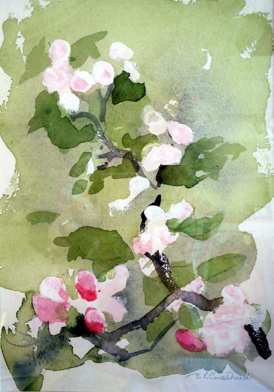 Apple Blossoms
