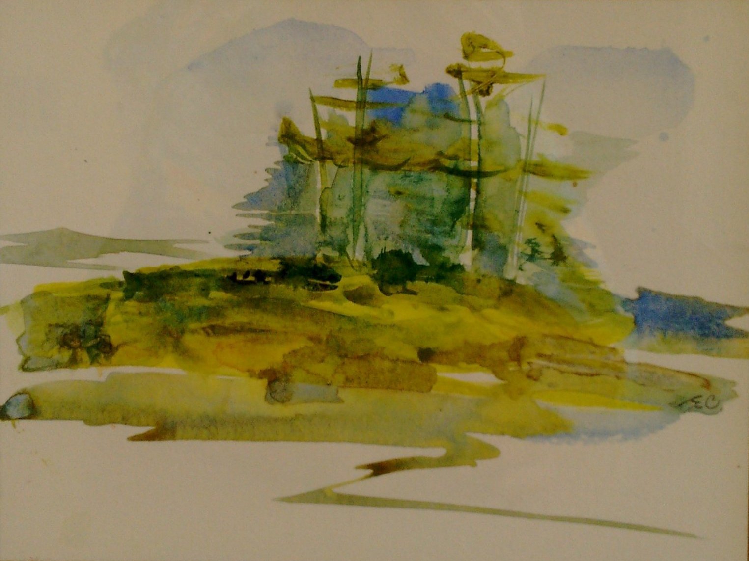 Maple Bay Islet