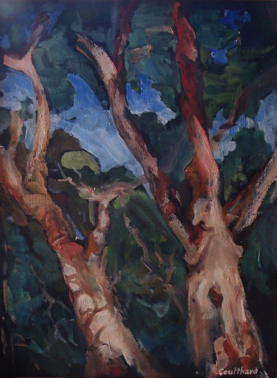 Arbutus One