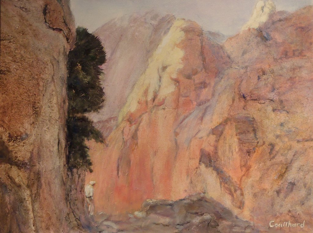 Mt. Sinai