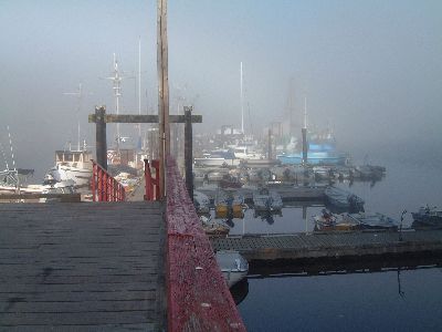 Whaler Bay
