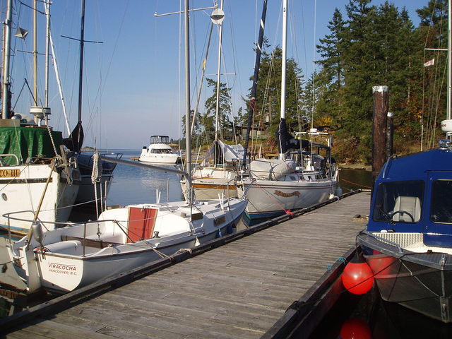 Galiander back home