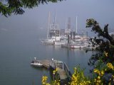 Whaler Bay Dock
